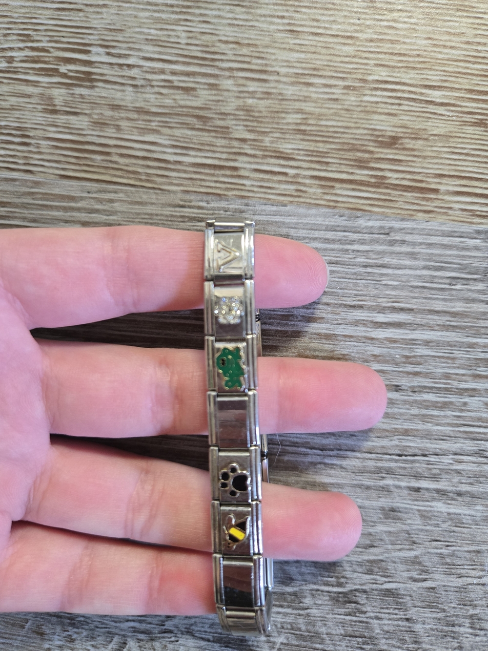 Silver-Tone Italian Link Bracelet with Green Turtle and Multicolor Enamel Charms
